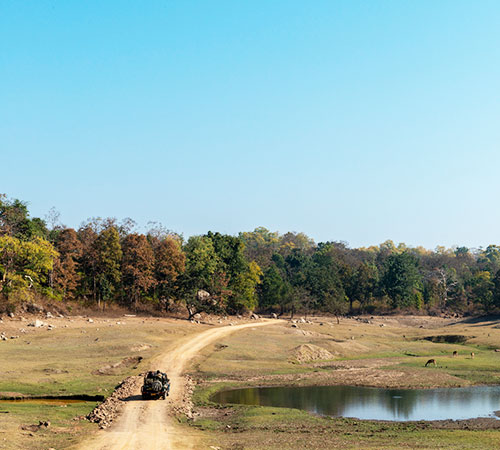 Best of Madhya Pradesh Tour